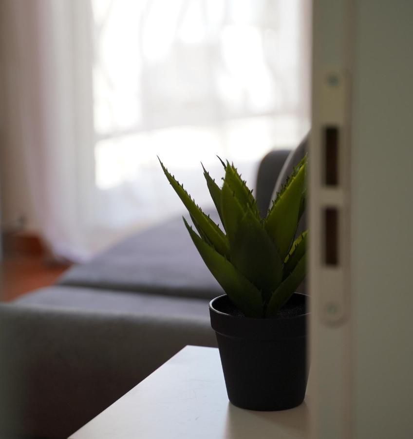 Stylish Apartment Near Tirana Center מראה חיצוני תמונה